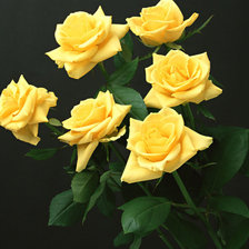 Source of cross stitch pattern: #899956