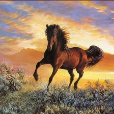 Cross stitch pattern: #899970