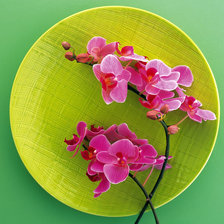 Source of cross stitch pattern: #899977