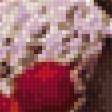 Preview of cross stitch pattern: #899996