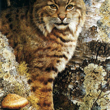 Cross stitch pattern: #900022