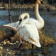 Cross stitch pattern: #900033