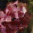 Preview of cross stitch pattern: #900155