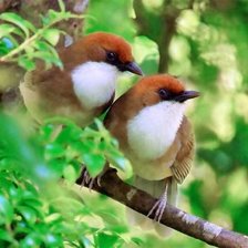 Cross stitch pattern: #900217