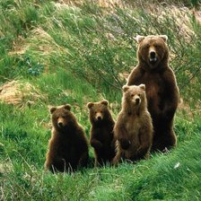 Source of cross stitch pattern: #900223