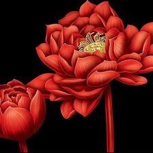 Cross stitch pattern: #900252