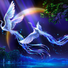 Cross stitch pattern: #900599