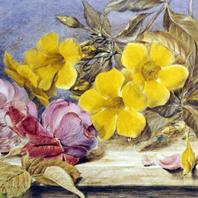 Cross stitch pattern: #900700