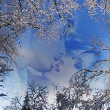 Cross stitch pattern: #900872