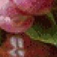 Preview of cross stitch pattern: #900966