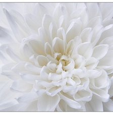Cross stitch pattern: #901027