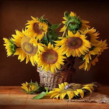 Cross stitch pattern: #901365