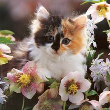 Cross stitch pattern: #901826