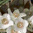Preview of cross stitch pattern: #901946