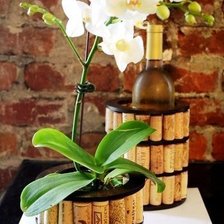 Cross stitch pattern: #902232