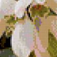 Preview of cross stitch pattern: #902364