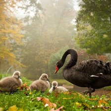 Cross stitch pattern: #902481