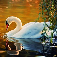 Cross stitch pattern: #902488