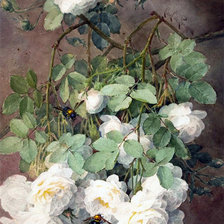 Cross stitch pattern: #903148