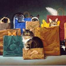 Cross stitch pattern: #903202