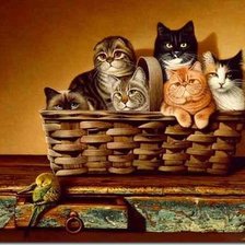 Cross stitch pattern: #903203