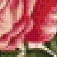 Preview of cross stitch pattern: #903236
