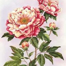 Cross stitch pattern: #903236