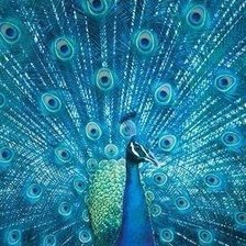 Cross stitch pattern: #903317