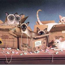 Cross stitch pattern: #903437