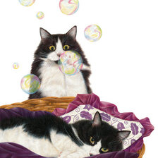 Cross stitch pattern: #903447