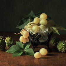 Cross stitch pattern: #903603