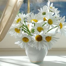 Cross stitch pattern: #903728