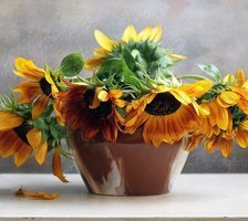 Cross stitch pattern: #903904