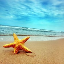 Cross stitch pattern: #903958