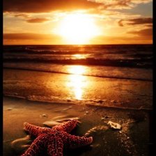 Cross stitch pattern: #903959