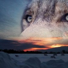 Cross stitch pattern: #903962
