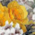 Preview of cross stitch pattern: #904278