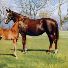 Cross stitch pattern: #904292