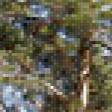 Preview of cross stitch pattern: #904569