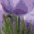 Preview of cross stitch pattern: #904620