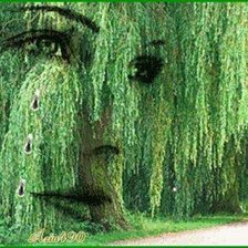 Cross stitch pattern: #904639