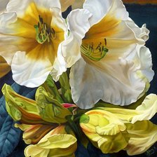 Cross stitch pattern: #904874