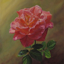 Cross stitch pattern: #905033