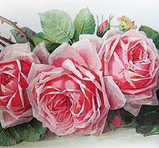 Cross stitch pattern: #905074