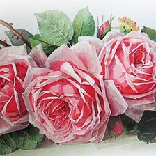 Cross stitch pattern: #905083