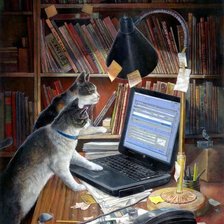 Cross stitch pattern: #905768