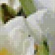 Preview of cross stitch pattern: #905823