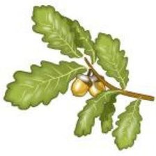 Cross stitch pattern: #906004