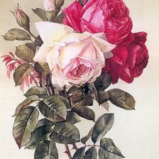 Cross stitch pattern: #906460