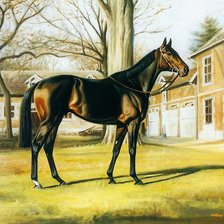 Cross stitch pattern: #906474